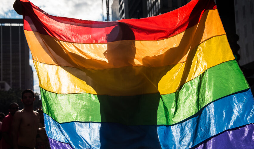 Parada LGBT 2017 (11) - daniel arroyo