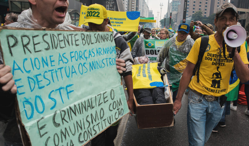O Bolsonarismo e o Complexo do Pombo Enxadrista - Ricolandia